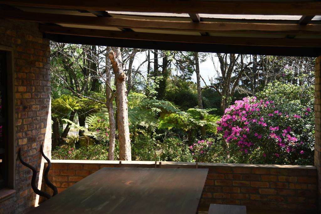 Molly'S Cottage Graskop Eksteriør bilde